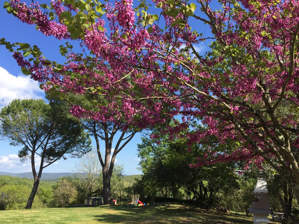 Campo Di Carlo Country house