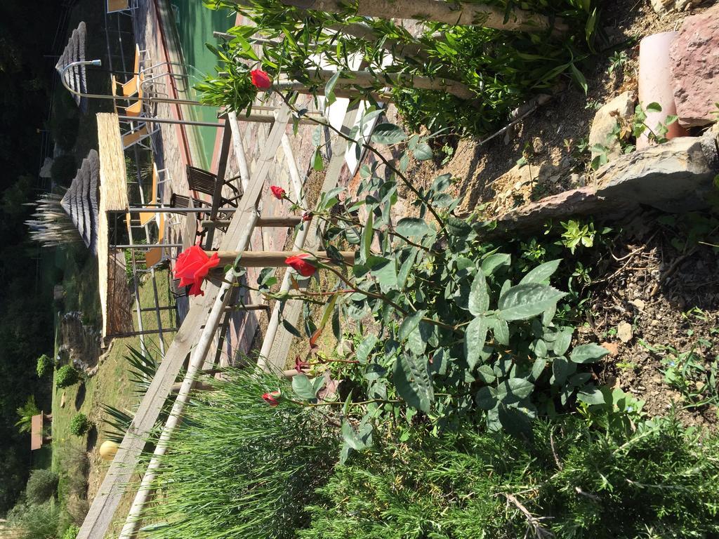 Country house Campo Di Carlo *